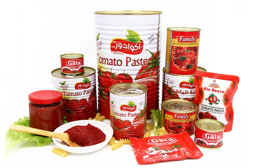 Canned Tomato Paste With Good Price Easy open