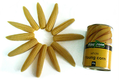 Canned cut baby corn in brine