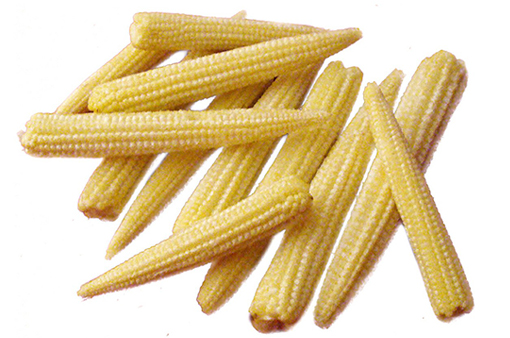 Canned cut baby corn in brine